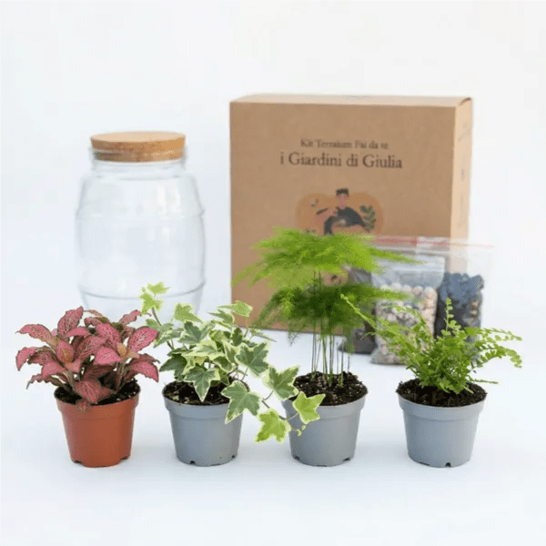 Kit Fai Da Te Terrarium Completo - Crea il Tuo Mini Giardino Elegante - VivoSpazio