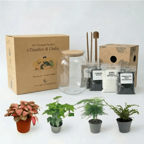 Kit Fai Da Te Terrarium Completo - Crea il Tuo Mini Giardino Elegante - VivoSpazio