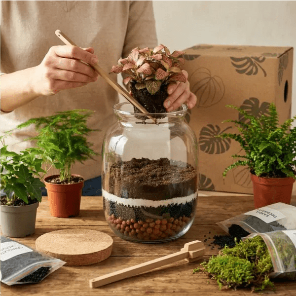 Kit Fai Da Te Terrarium Completo - Crea il Tuo Mini Giardino Elegante - VivoSpazio